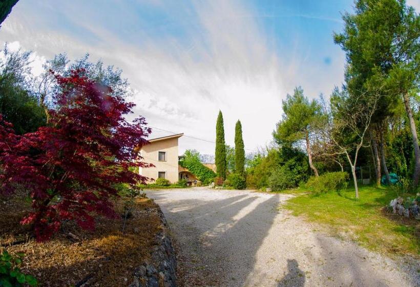 بنسيون Casa Cerqua Landi