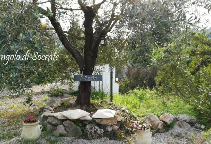 بنسيون Casa Cerqua Landi