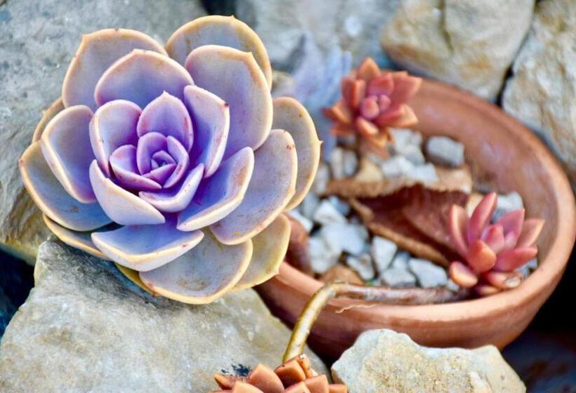 פנסיון Casa Cerqua Landi