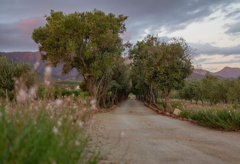 بنسيون Galloway Guest House