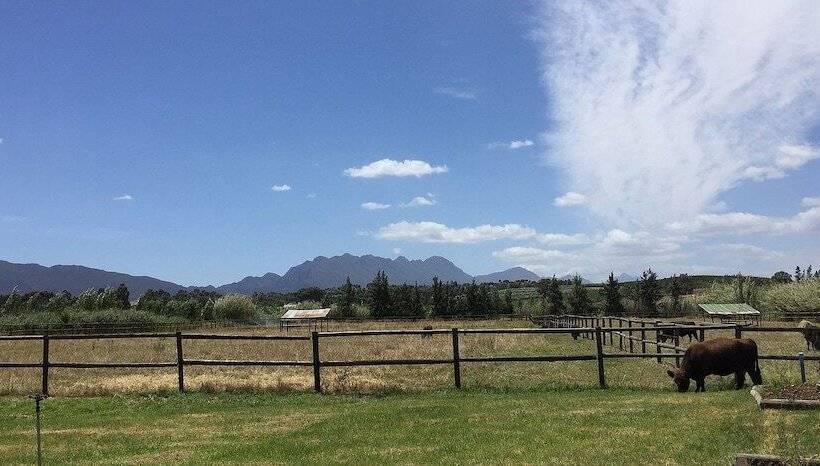 膳宿费 Galloway Guest House