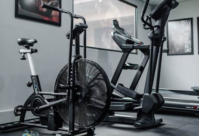 بنسيون Gecko Inn