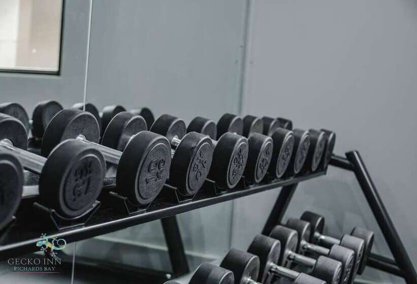 بنسيون Gecko Inn