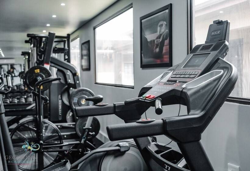 بنسيون Gecko Inn