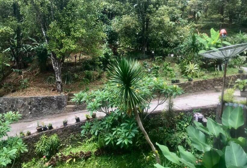 膳宿费 Munduk Sena