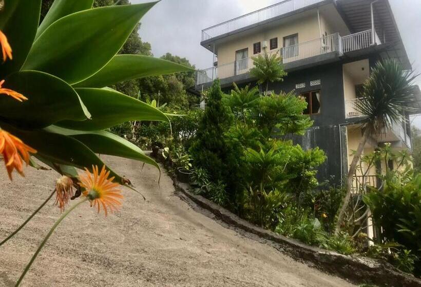 膳宿费 Munduk Sena