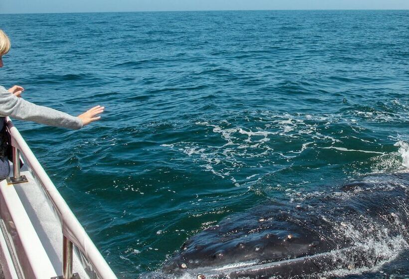 ペンション On The Estuary