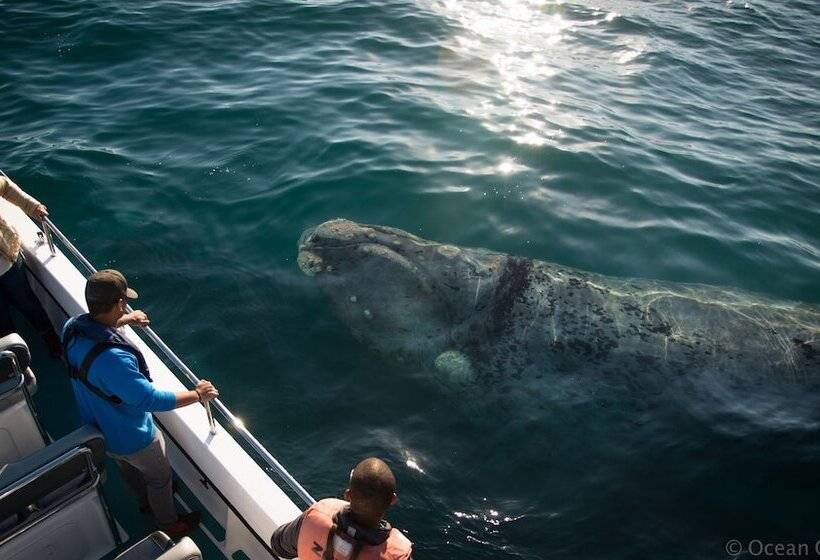ペンション On The Estuary