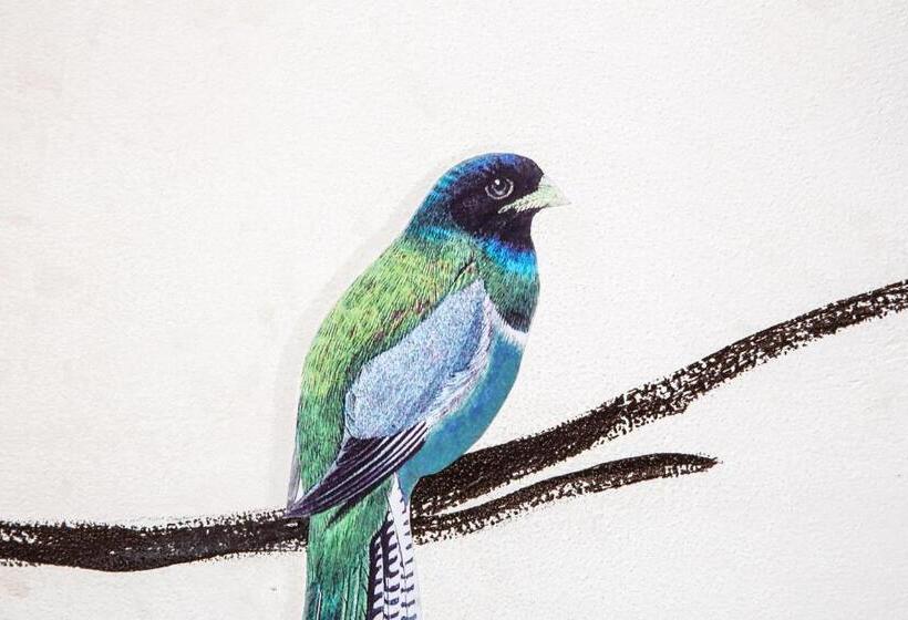 膳宿费 Palazzo Conti Camere & Suites