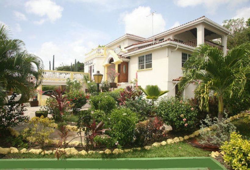 پانسیون Palm Paradise Guest House And Apartments