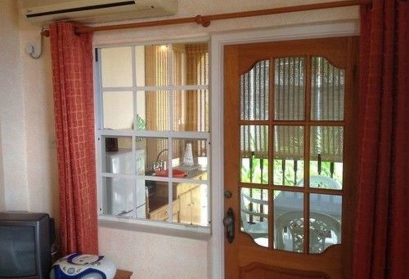 پانسیون Palm Paradise Guest House And Apartments