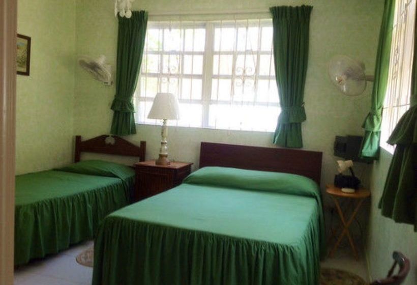 پانسیون Palm Paradise Guest House And Apartments