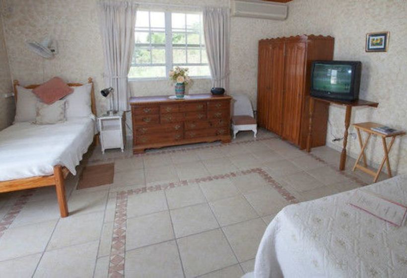 پانسیون Palm Paradise Guest House And Apartments