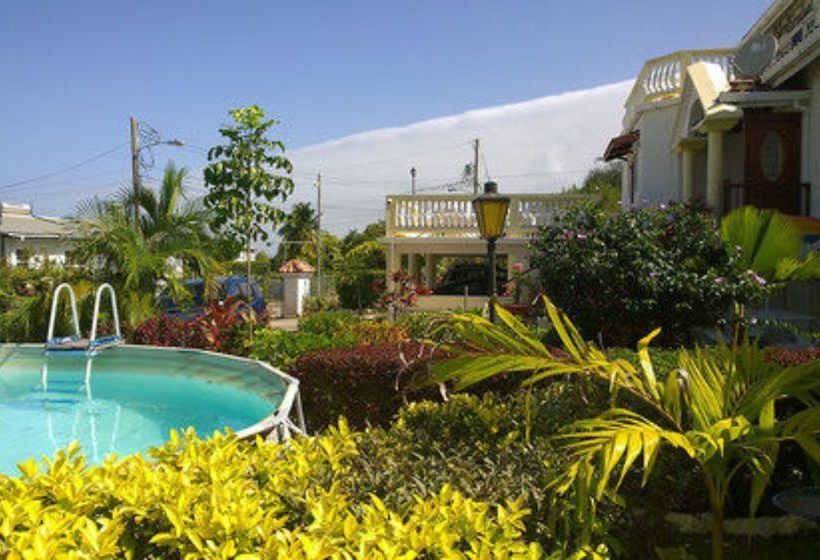 پانسیون Palm Paradise Guest House And Apartments