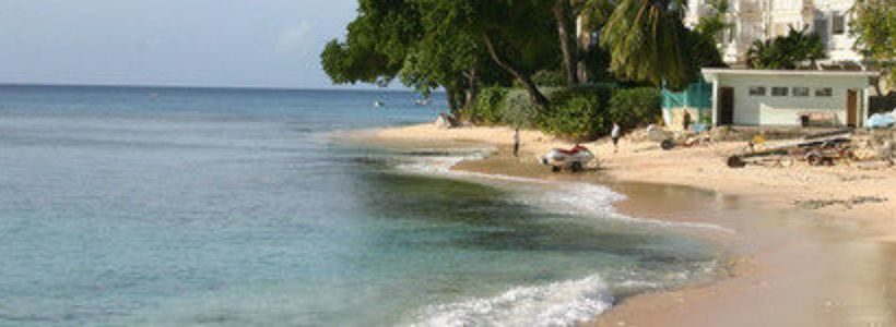 پانسیون Palm Paradise Guest House And Apartments