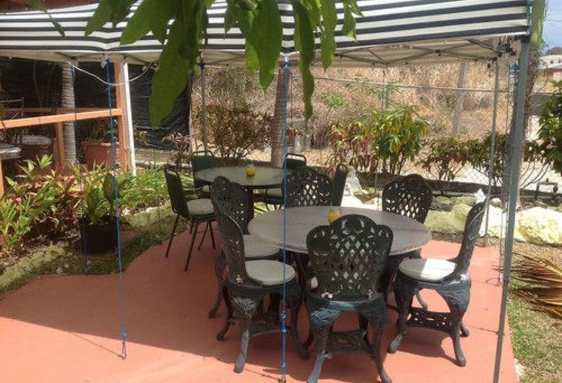 پانسیون Palm Paradise Guest House And Apartments