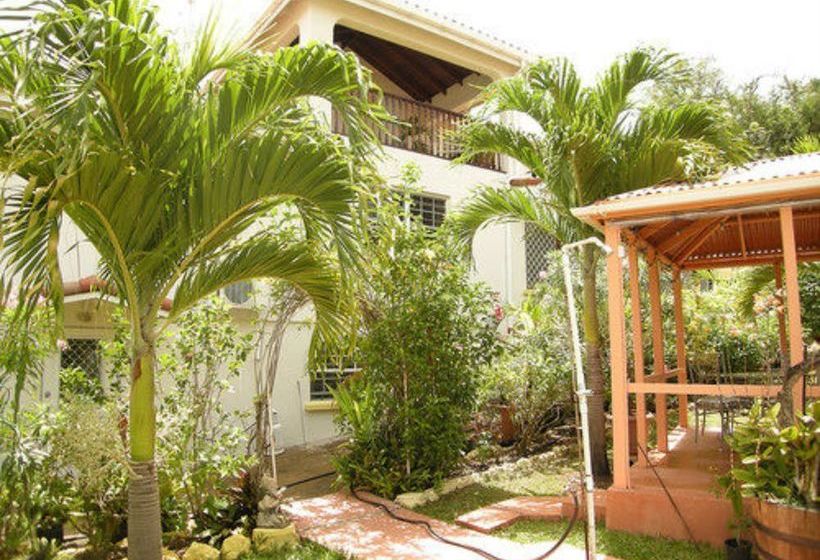 پانسیون Palm Paradise Guest House And Apartments