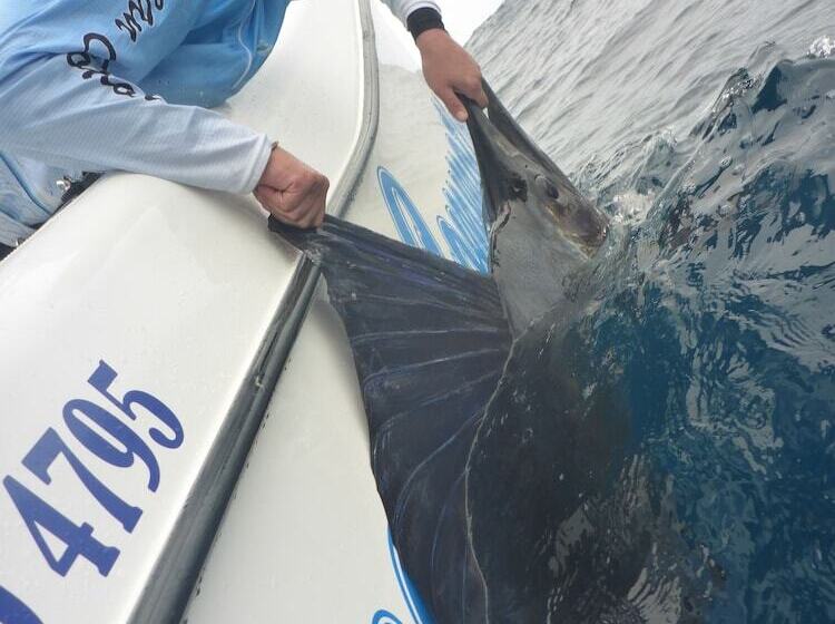 膳宿费 Turtle Bay Lodge