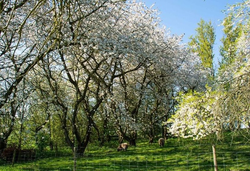 Pyttegården Apartments