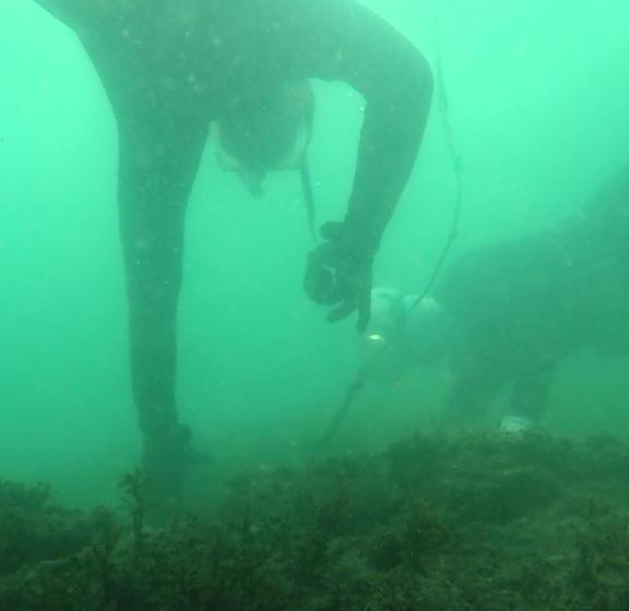 ريوكان Kaigetsu