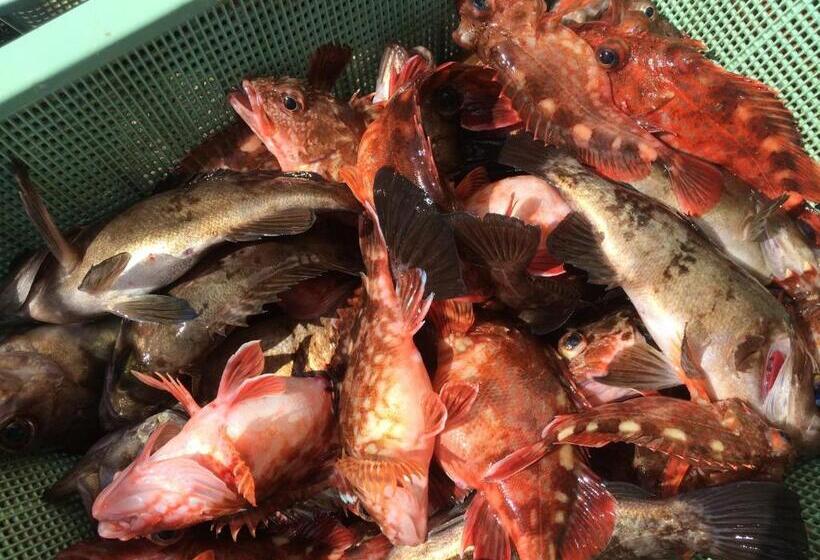 ريوكان Kaigetsu