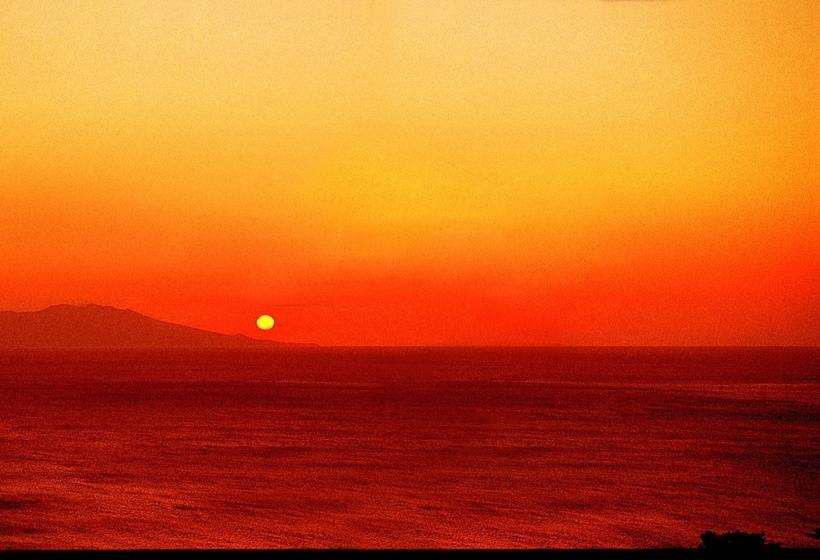 ריוקאן Shinayoshi