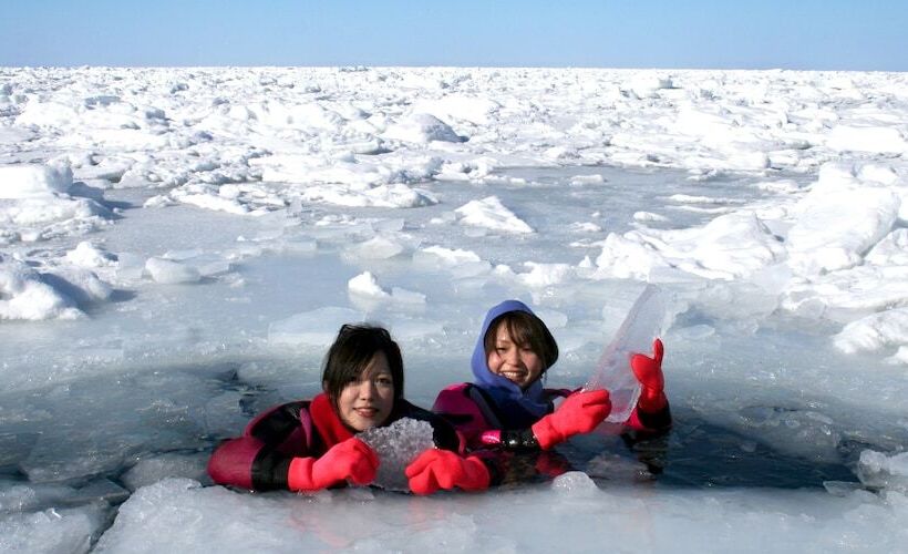 Рёкан Shiretoko Village