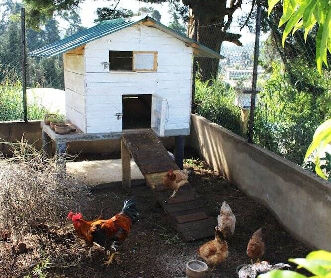 Senani Colonial Holiday Bungalow