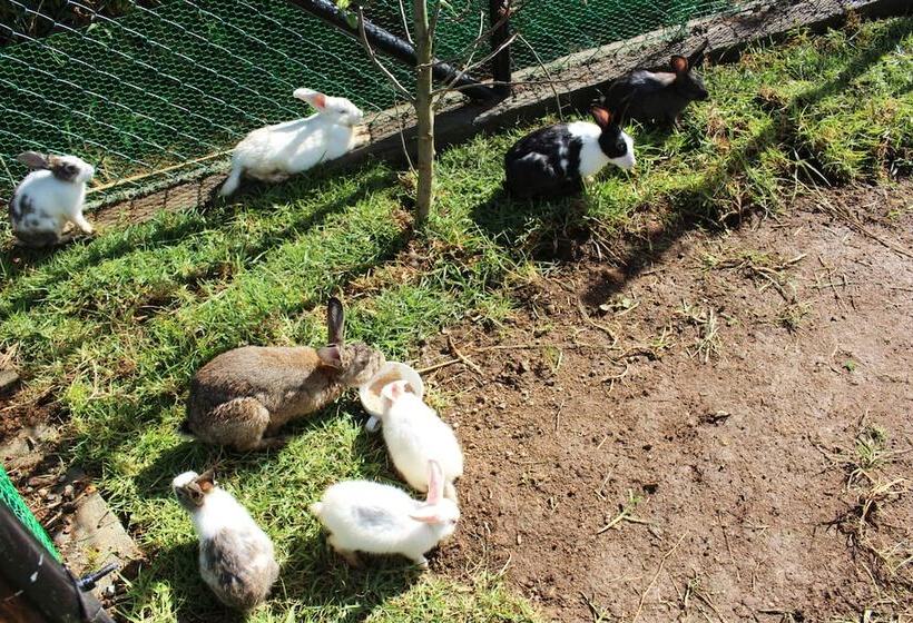 Senani Colonial Holiday Bungalow