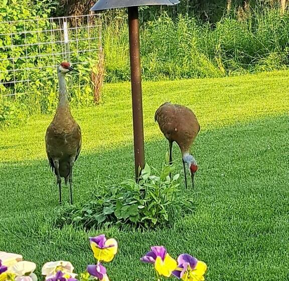 Southern Bluff Bed & Breakfast