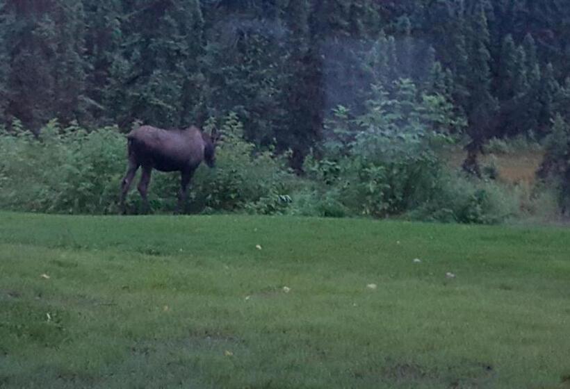 Southern Bluff Bed & Breakfast