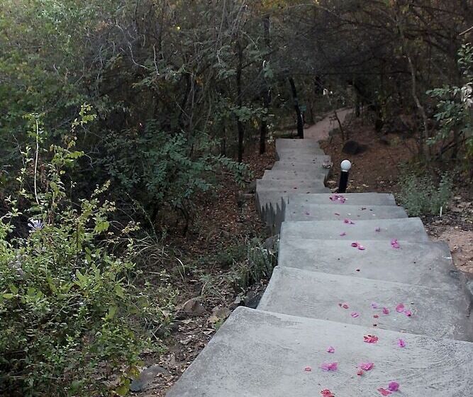 Thulamela Bed And Breakfast