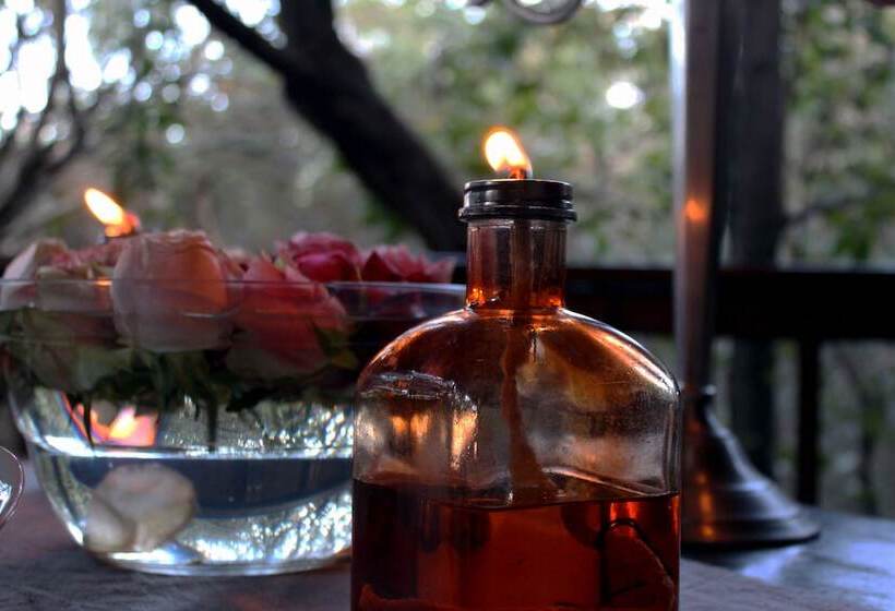 Thulamela Bed And Breakfast