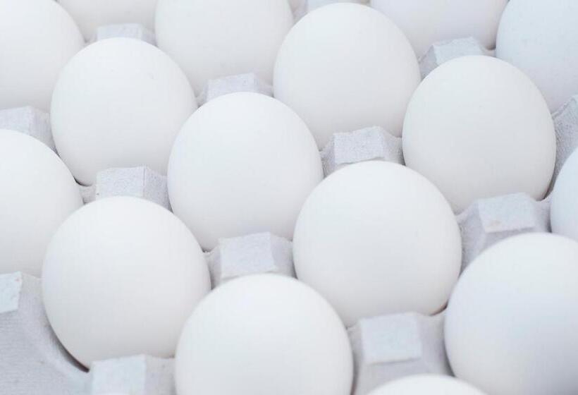 הוסטל Hamby Resort