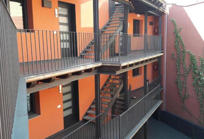 Apartaments Y Habitacions Entre Volcans