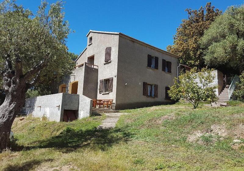 Bed and Breakfast A Casa Di L'alivu