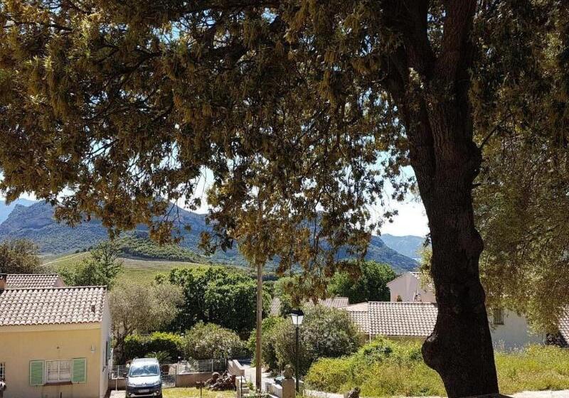 Bed and Breakfast A Casa Di L'alivu