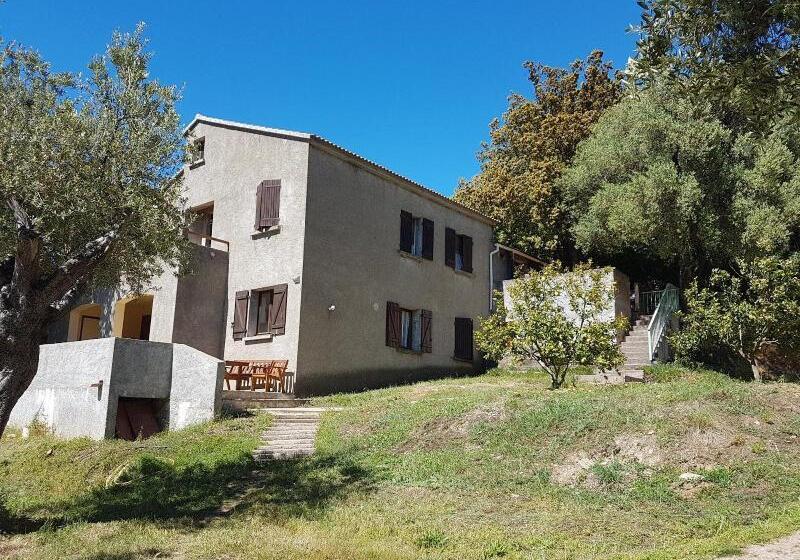 Bed and Breakfast A Casa Di L'alivu