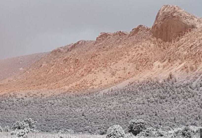 Bed and Breakfast Casa Del Gavilan Historic Inn