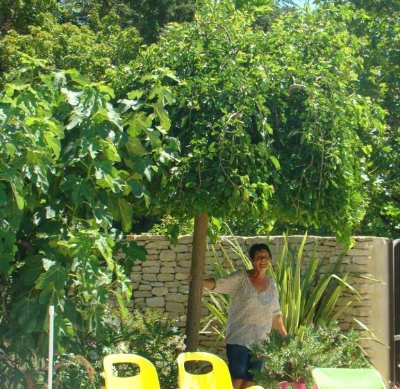 住宿加早餐  Chambres D Hôtes La Nesque