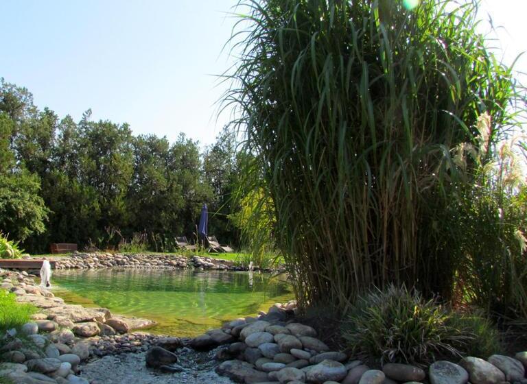 צימר Couleur Lavande