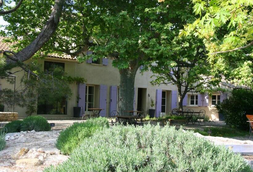 צימר Couleur Lavande