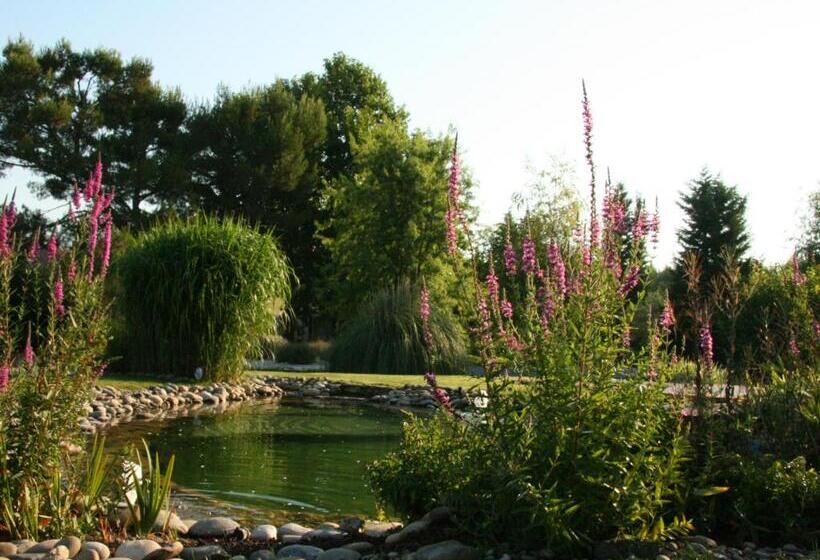 צימר Couleur Lavande