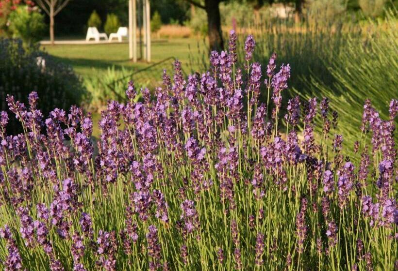 مبيت وإفطار Couleur Lavande