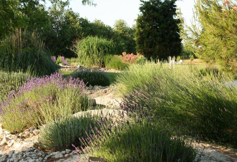 צימר Couleur Lavande