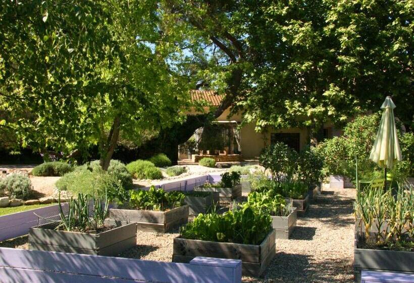 צימר Couleur Lavande