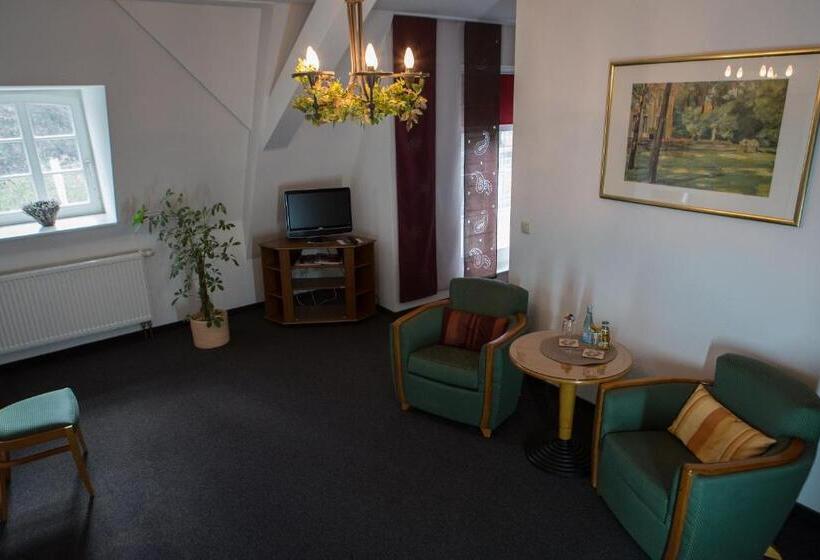 住宿加早餐  Internat Schloss Spiegelberg