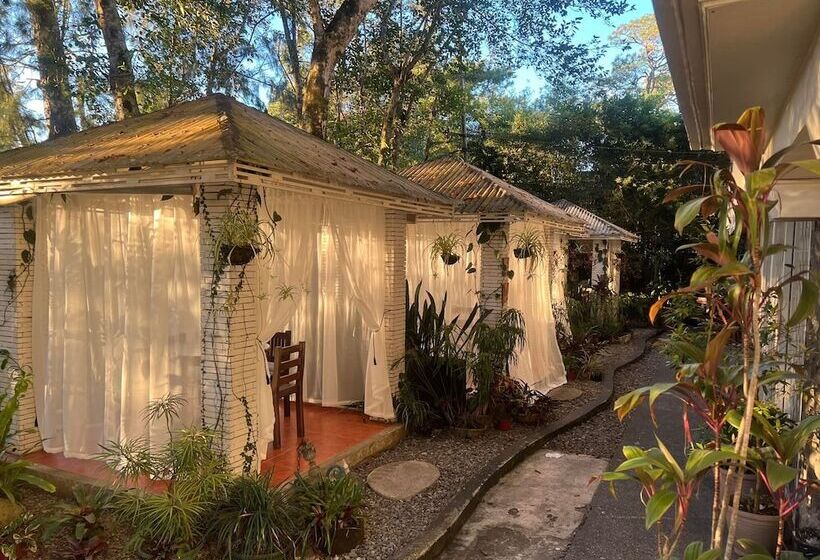 مبيت وإفطار La Casa Bianca