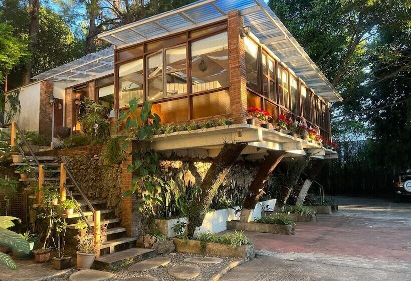 مبيت وإفطار La Casa Bianca