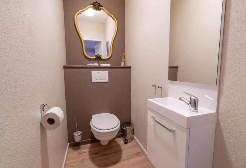 مبيت وإفطار La Cour Stfulrad